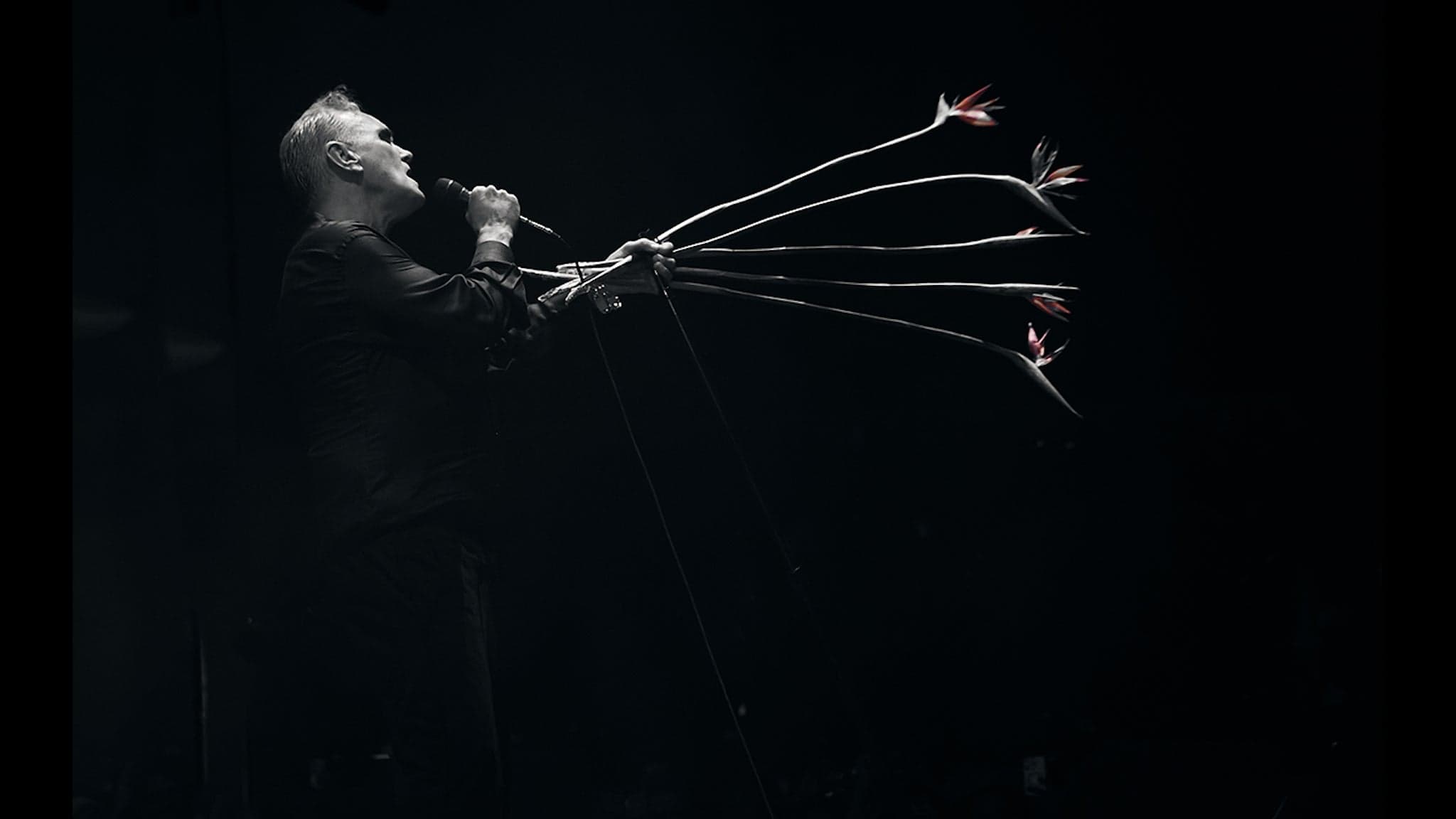 Morrissey